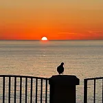 Authentic Maltese 3br Steps From Seafront & Ferries